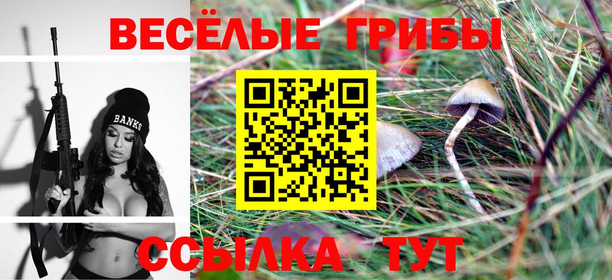 Галлюциногенные грибы MAGIC MUSHROOMS Удомля