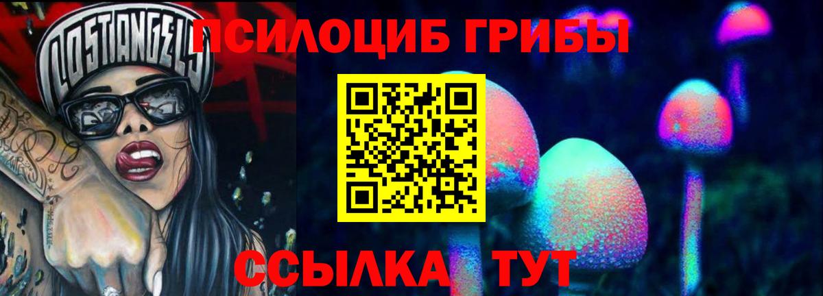 Псилоцибиновые грибы мицелий  Вход с VPN  Удомля  Псилоцибиновые грибы Psilocybe 